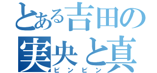 とある吉田の実央と真衣（ビンビン）