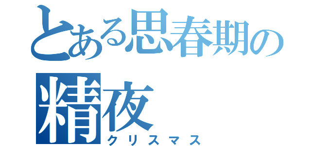 とある思春期の精夜（クリスマス）