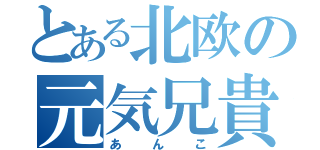 とある北欧の元気兄貴（あんこ）