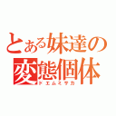 とある妹達の変態個体（ドエムミサカ）