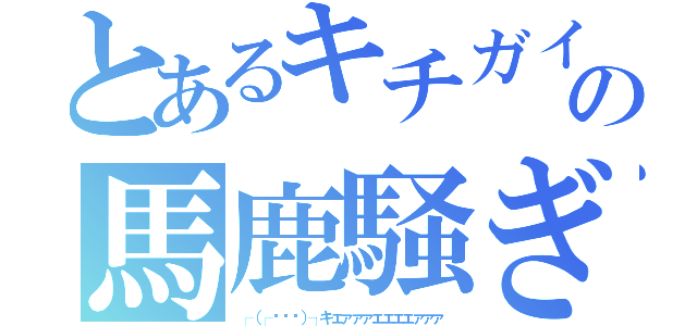 とあるキチガイの馬鹿騒ぎ（┌（┌՞ਊ՞）┐キェァァァェェェェァァァ）