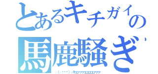 とあるキチガイの馬鹿騒ぎ（┌（┌՞ਊ՞）┐キェァァァェェェェァァァ）