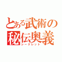 とある武術の秘伝奥義（シークレット）