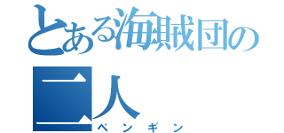 とある海賊団の二人（ペンギン）