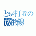 とある打者の放物線（ホームラン）