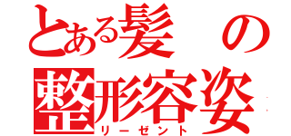 とある髪の整形容姿（リーゼント）