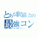 とある釈猫との最強コンビ（レオ（兄貴）だ！！！！）