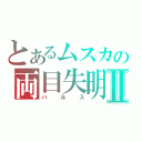 とあるムスカの両目失明Ⅱ（バルス）