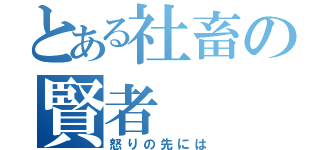 とある社畜の賢者（怒りの先には）