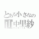 とある小さなの山中里紗（チンカーベル）