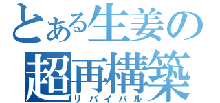 とある生姜の超再構築（リバイバル）