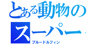 とある動物のスーパー戦隊（ブルードルフィン）