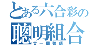 とある六合彩の聰明組合（廿一個號碼）