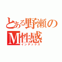 とある野瀬のＭ性感（インデックス）