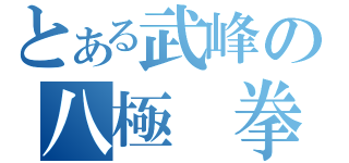 とある武峰の八極 拳（）