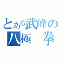 とある武峰の八極 拳（）