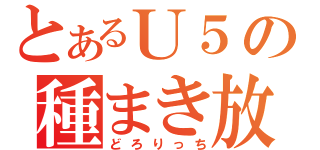 とあるＵ５の種まき放送（どろりっち）