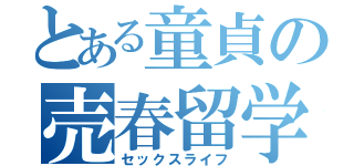 とある童貞の売春留学（セックスライフ）