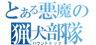 とある悪魔の猟犬部隊（ハウンドドック）