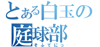 とある白玉の庭球部（そふてにっ）