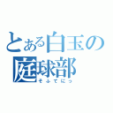 とある白玉の庭球部（そふてにっ）