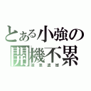 とある小強の開機不累（深表遺憾）