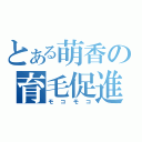 とある萌香の育毛促進（モコモコ）