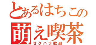 とあるはちこの萌え喫茶（セクハラ歓迎）