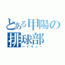 とある甲陽の排球部（ハイキュー）