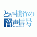 とある植竹の音声信号（モールスシグナル）