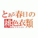 とある春日の桃色衣類（ピンクベスト）