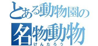 とある動物園の名物動物（けんたろう）
