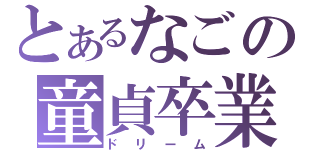 とあるなごの童貞卒業（ドリーム）