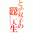 とある双子の第二人生（セカンドライフ）