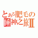 とある肥毛の睡神之旅Ⅱ（）