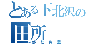 とある下北沢の田所（野獣先輩）