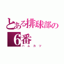 とある排球部の６番（ハムカツ）