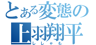 とある変態の上羽翔平（ししゃも）