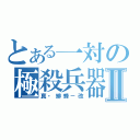 とある一対の極殺兵器Ⅱ（真・緋蜂－改）