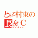 とある村東の長身Ｃ（ビックセンター）