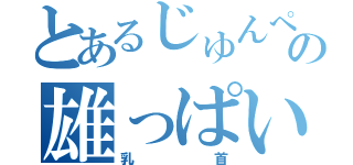 とあるじゅんぺーの雄っぱい（乳首）