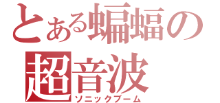 とある蝙蝠の超音波（ソニックブーム）