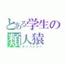 とある学生の類人猿（チンパンジー）