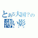 とある大国？の薄い影（カナダ）