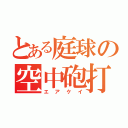 とある庭球の空中砲打（エアケイ）