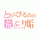 とあるびる吉の荒ぶり垢（びるけんガチ勢）