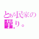 とある民家の芋り。（凜）