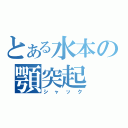 とある水本の顎突起（シャック）