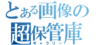 とある画像の超保管庫（ギャラリー）