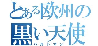 とある欧州の黒い天使（ハルトマン）